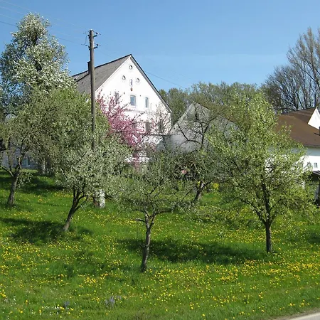 In Mit Garten