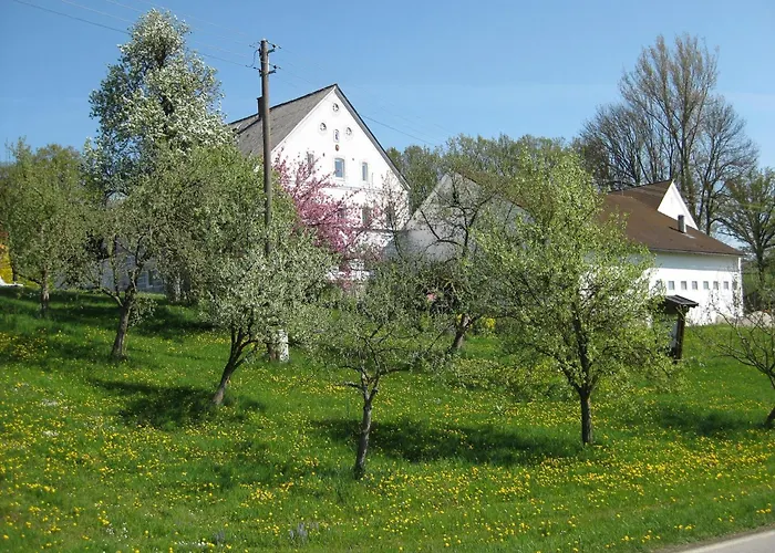 In Mit Garten